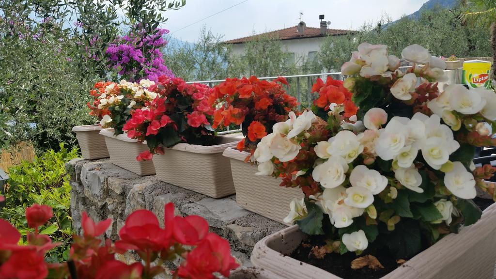 Hotel Augusta Garni Limone sul Garda Eksteriør bilde