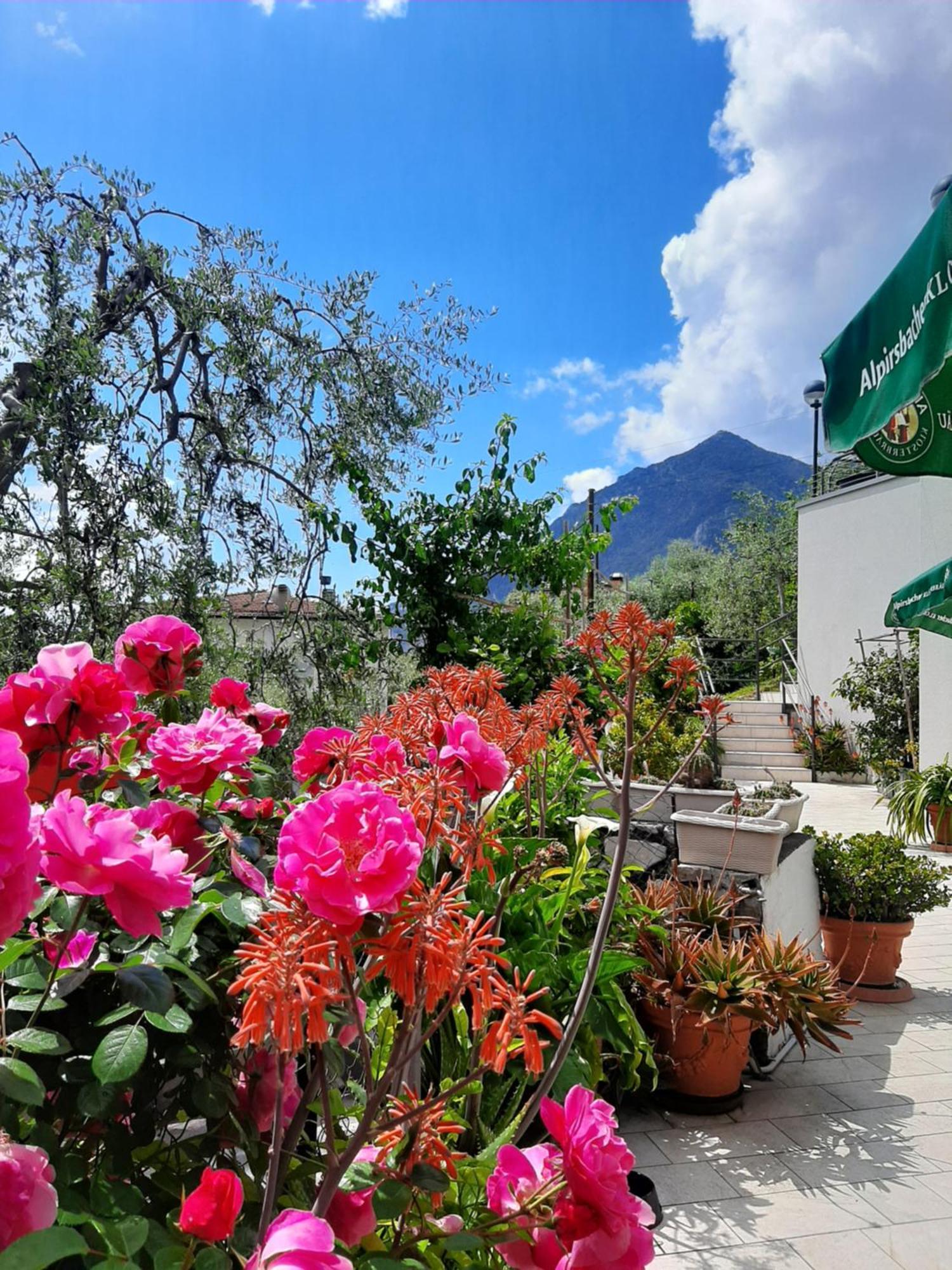 Hotel Augusta Garni Limone sul Garda Eksteriør bilde