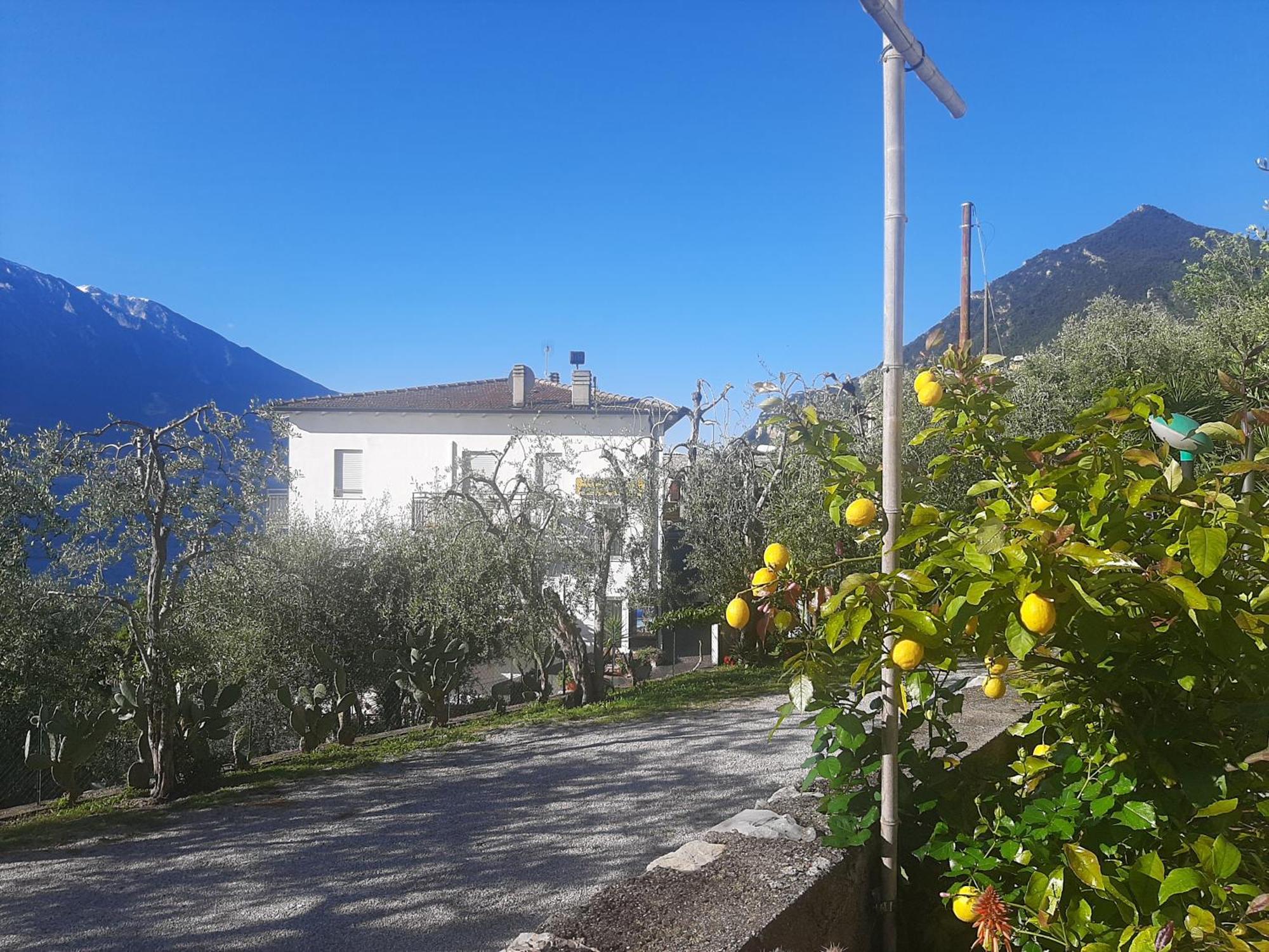 Hotel Augusta Garni Limone sul Garda Eksteriør bilde
